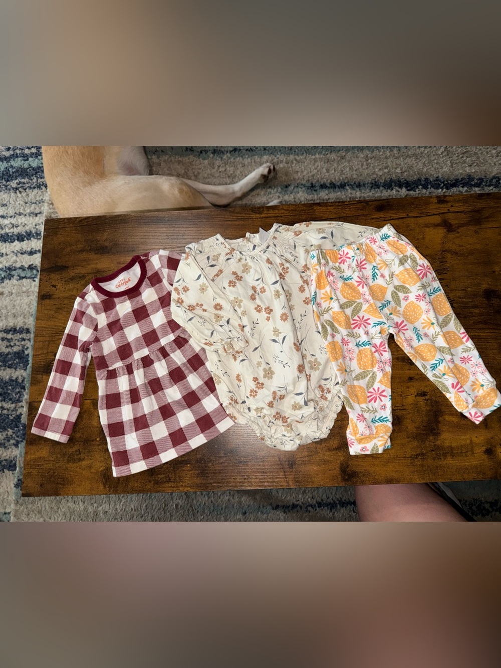 Carter’s 6-9months 2 shirts and 1 pair of pants